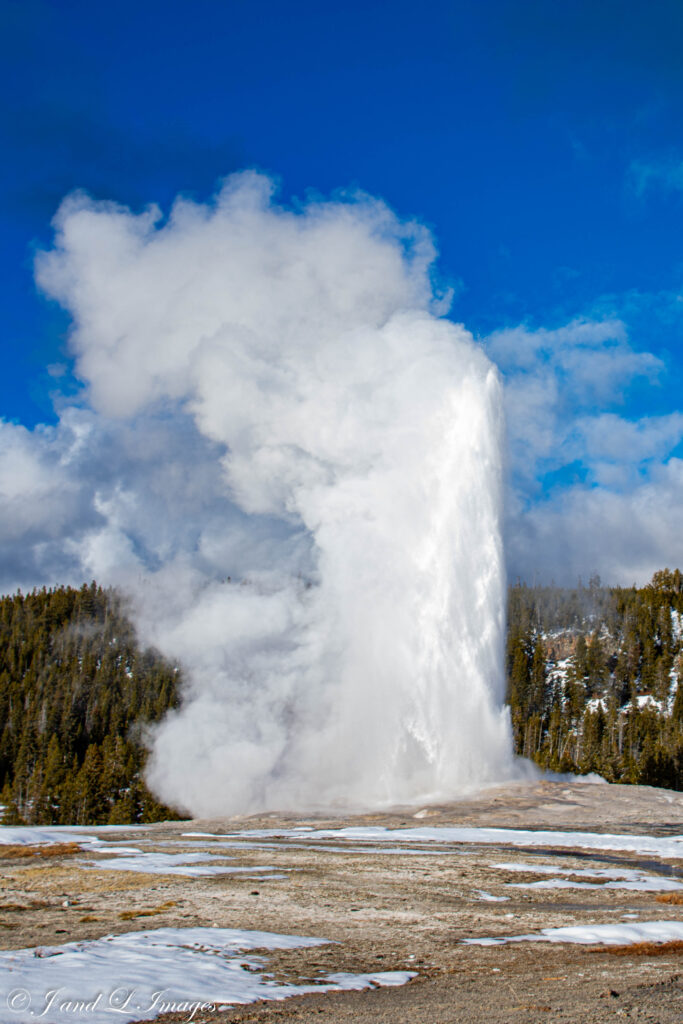 Yellowstone - Winter 2026 dsc 0531