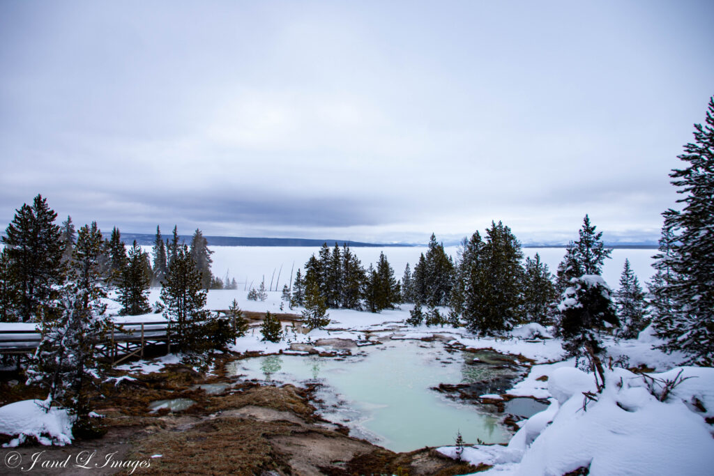 Yellowstone - Winter 2026 dsc 0569