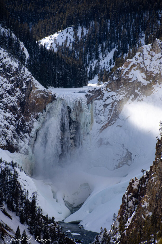 Yellowstone - Winter 2026 dsc 0707