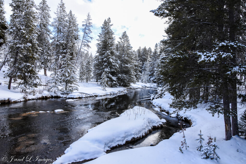 Yellowstone - Winter 2026 dsc 5321