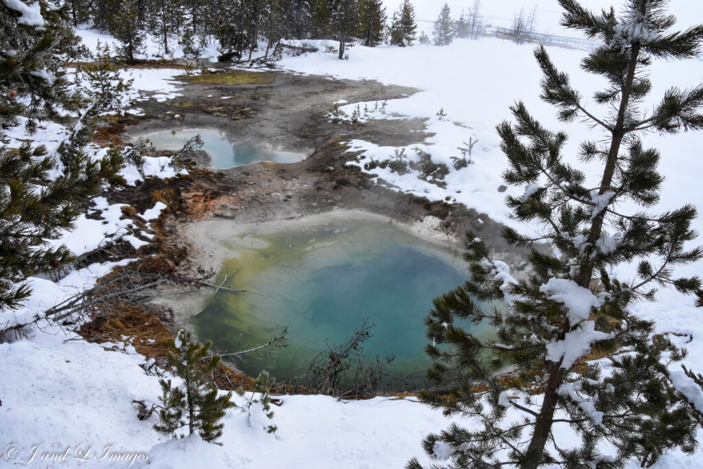Yellowstone - Winter 2026 dsc 5422