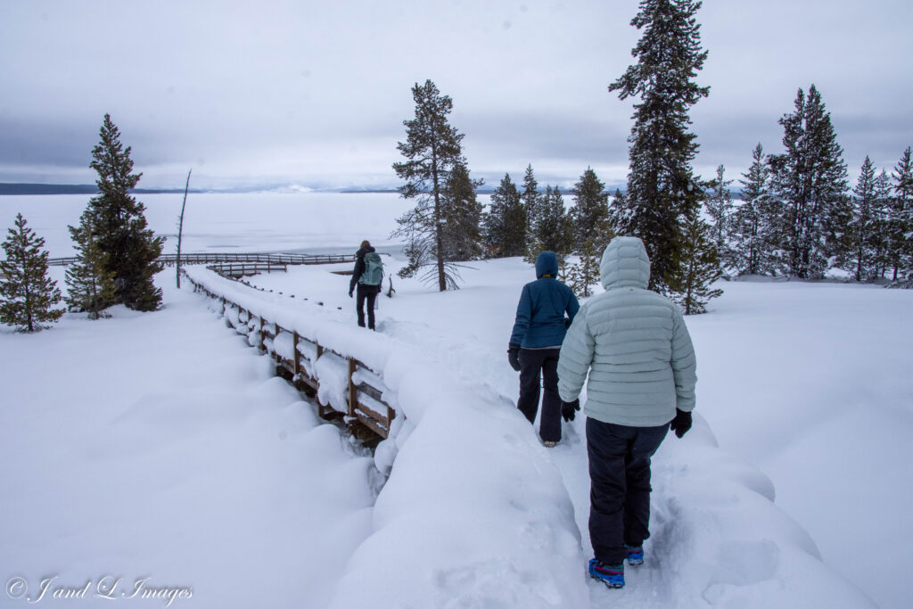 Yellowstone - Winter 2026 dsc 5424
